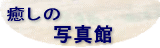́@ʐ^ 
