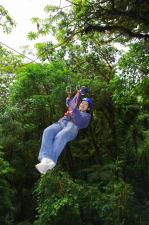 salvatur canopy