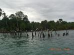 Parque Nacional Cahuita