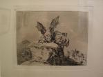 exposicion goya
