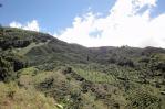 DSC01507.jpg